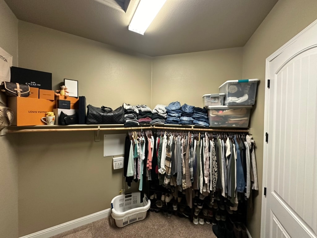 Before - Closet Upgrade